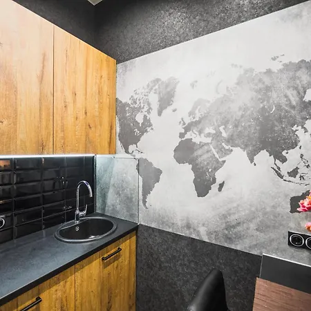 Pushkinskaya Apartments Kyiv Room photo